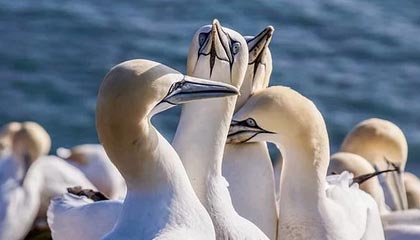 开云平台-字母哥31+14+8内史密斯新高32分 雄鹿赛季横扫步行者